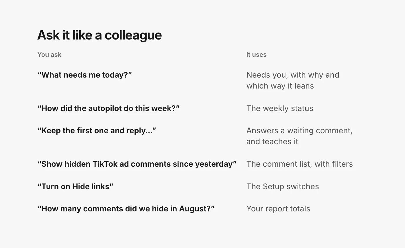 A table of things to ask and what the assistant does. “What needs me today?” reads Needs you. “How did the autopilot do this week?” reads the weekly status. “Keep the first one and reply…” answers a waiting comment. “Show hidden TikTok ad comments since yesterday” lists comments. “Turn on Hide links” sets a protection. “How many comments did we hide in August?” reads the report totals.